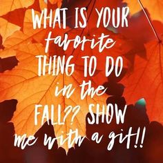 #ItsFinallyFallYall Everything today has to do with Our favorite Season... FALL! What is your Favorite thing to do in the Fall? GIFS ONLY!! @ZoeyCatBell @shawsome872 @SusieQZeeLove #TheBridgetLisaNSusieShow #KindnessStartsWithASmile