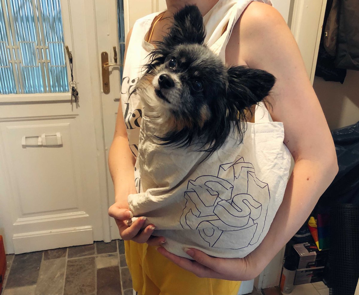kinsta's tweet photo. Kinsta tote bag... or pup transportation device? π€
#DogsofKinsta https://t.co/SLUHxUMCVy