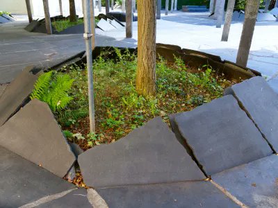 CH_Gemeinden's tweet photo. Mehr #Biodiversität im Siedlungsraum? In Zusammenarbeit mit dem BAFU und weiteren Partnern gibt der #SchweizerischeGemeindeverband einen neuen Ratgeber mit konkreten Tipps für Gemeinden heraus: https://t.co/P2fLffTNnT
#SGV #chgemeinden #Landschaftsqualität https://t.co/HSSq6x2OVg