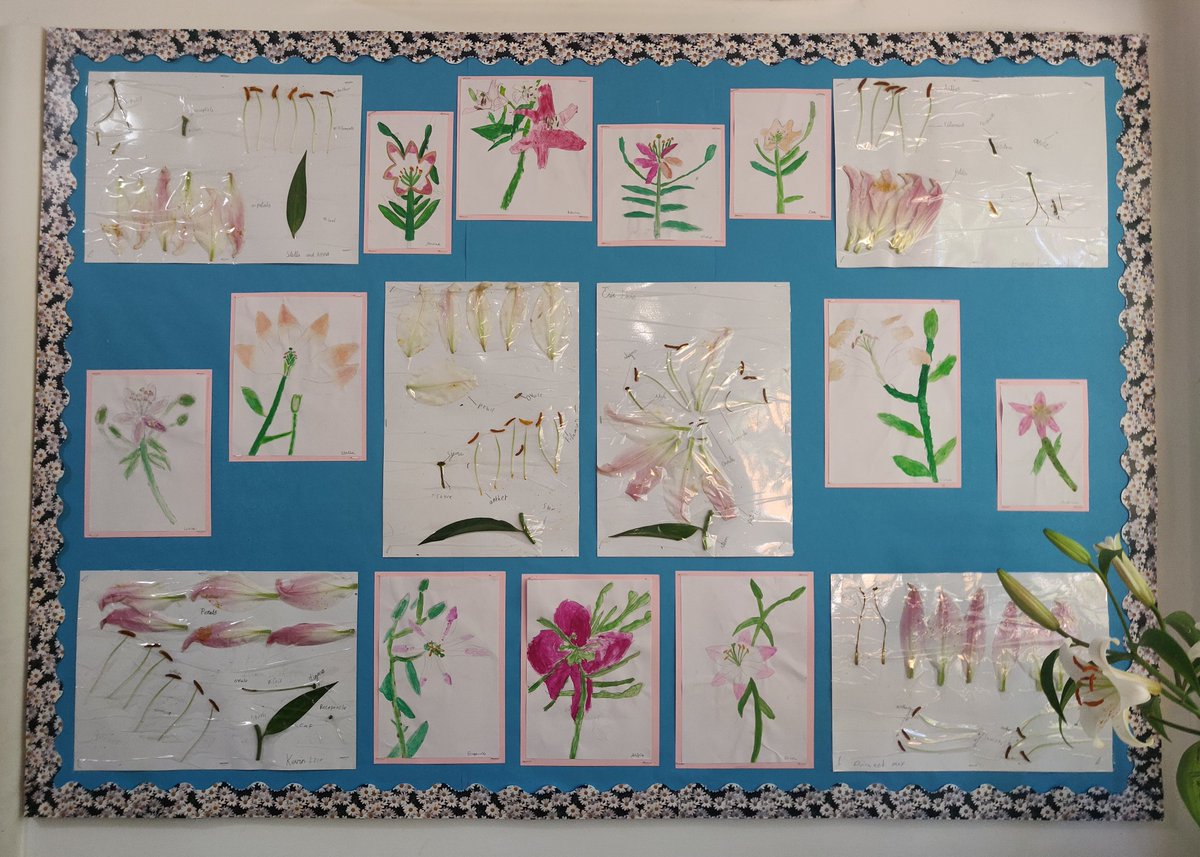 Jo Hayes tweet media