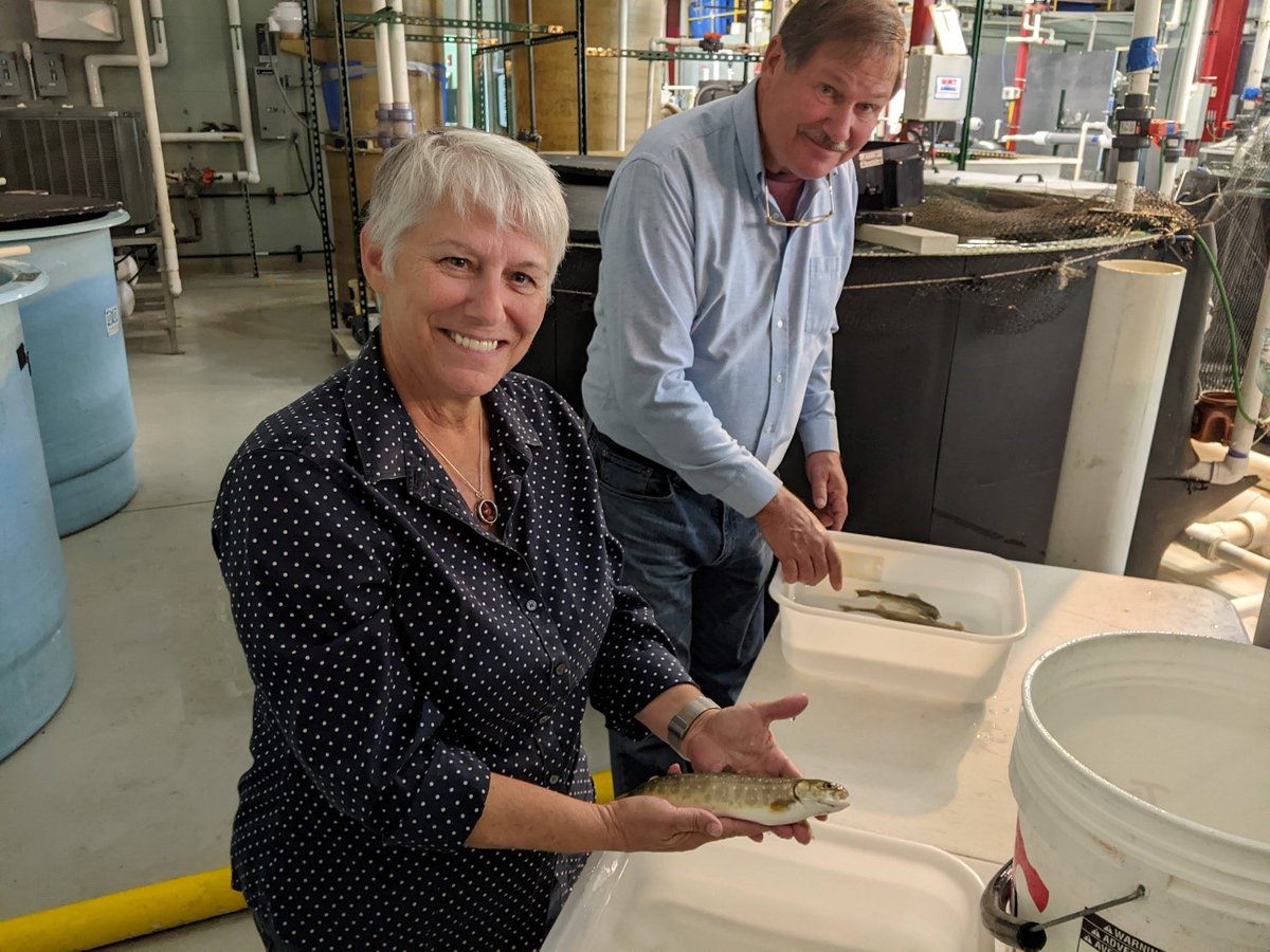 beth_rep's tweet photo. Recently, I was able to take a tour of @UWSPNADF where I learned about their efforts in promoting education and the advancement of sustainable aquaculture! 

Full post available here: https://t.co/1JHOglvNgH https://t.co/O8zKM0hCX2