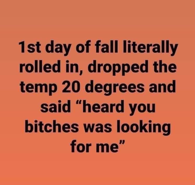 NYPoliticalMom's tweet image. It’s true. 😂😂😂