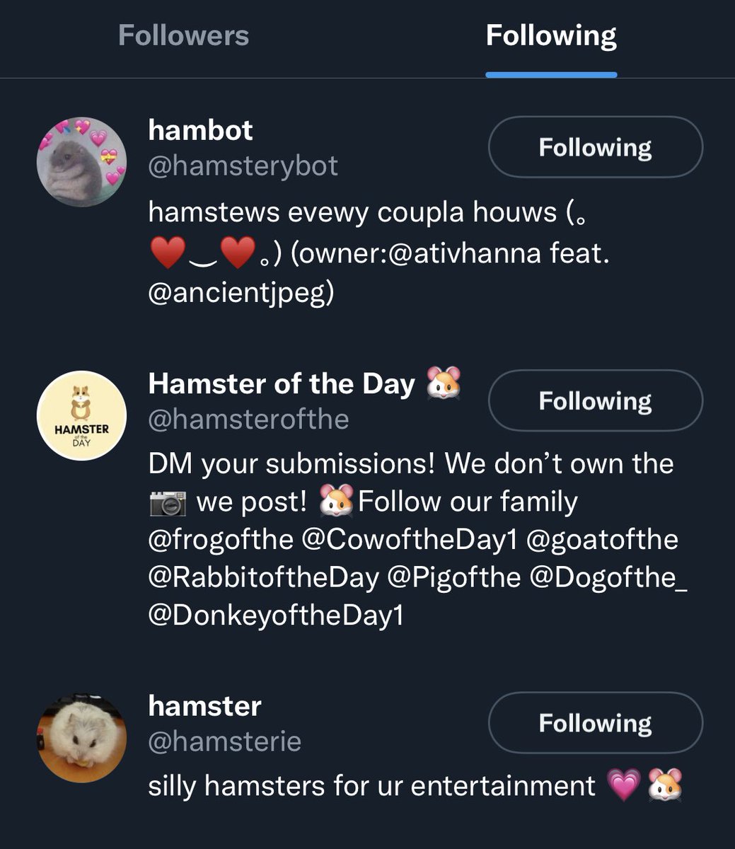 mrgoosethecat's tweet photo. Last nightโs. Hunting report. I only found three. twitter hampsters. But they seem. Very fat. Much meat. to go around. #catsoftwitter #forthehunt https://t.co/iHe7zUTYSA
