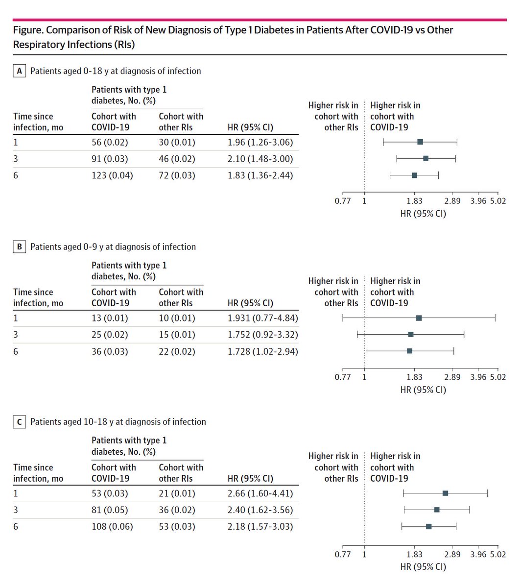 EricTopol's tweet photo. Two new independent reports, one Norway nationwide, and the other US-based, indicate increased risk of Type 1 (autoimmune) diabetes from Covid in children and teens
https://t.co/8zTYGLmblk
@EASDnews 
https://t.co/q4t1DfcYk9 @JAMANetworkOpen https://t.co/fn1Wqnf2Th