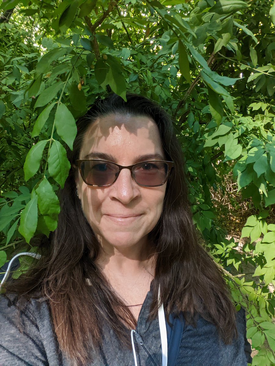 kzknowles's tweet image. Happy place. #AmongTheTrees