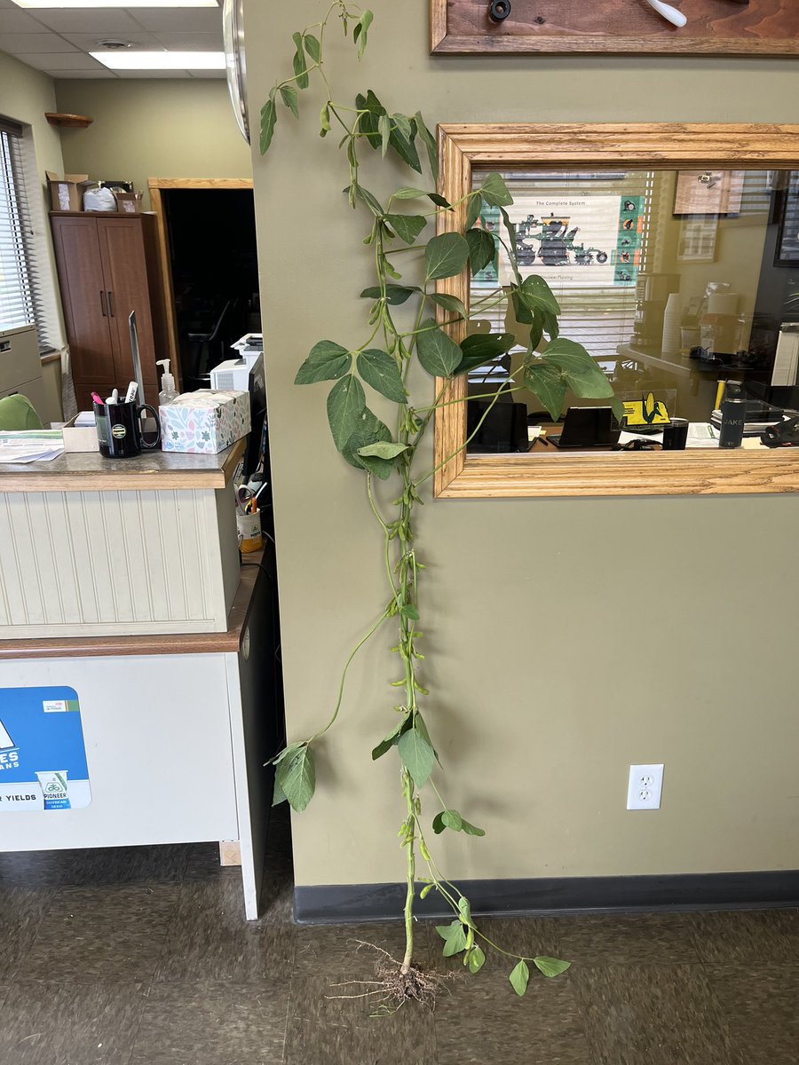 Brick Street Precision Ag tweet media