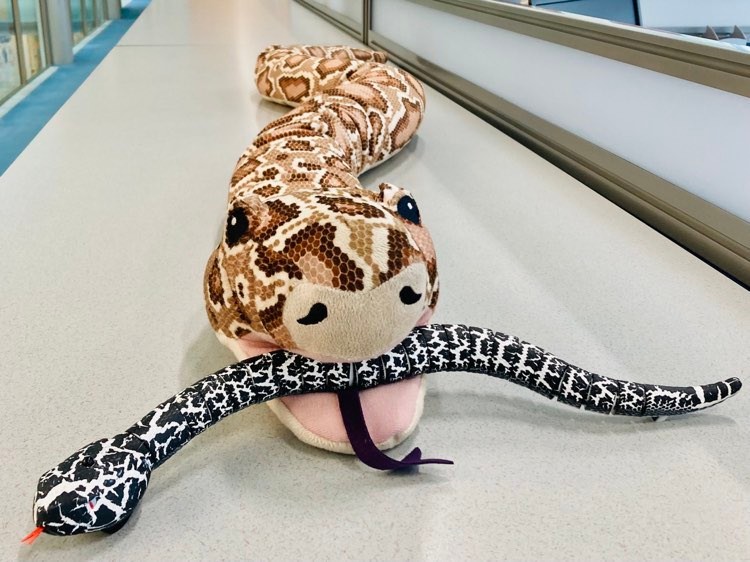 Diogo Martins tweet media