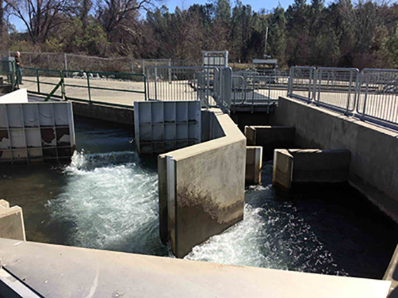 KleinschmidtGrp's tweet photo. It's #FisheriesFriday 🐟 Check out this amazing solution developed for the Coleman National Fish Hatchery.
Read More 👇
https://t.co/cdwWU0ZUON
#Fisheries #hydropower #solutions #FisheriesEngineering #FishPassage #FishProtection https://t.co/S96nZeQTjC