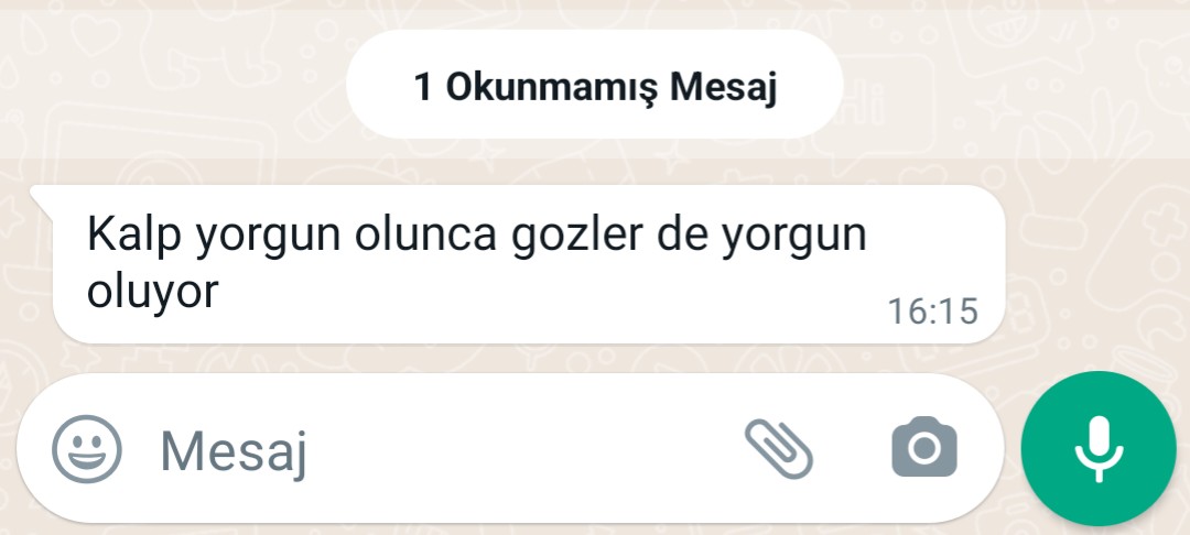 gamzeedalll's tweet photo. @kntl_sukran https://t.co/yNUIPwyl2u