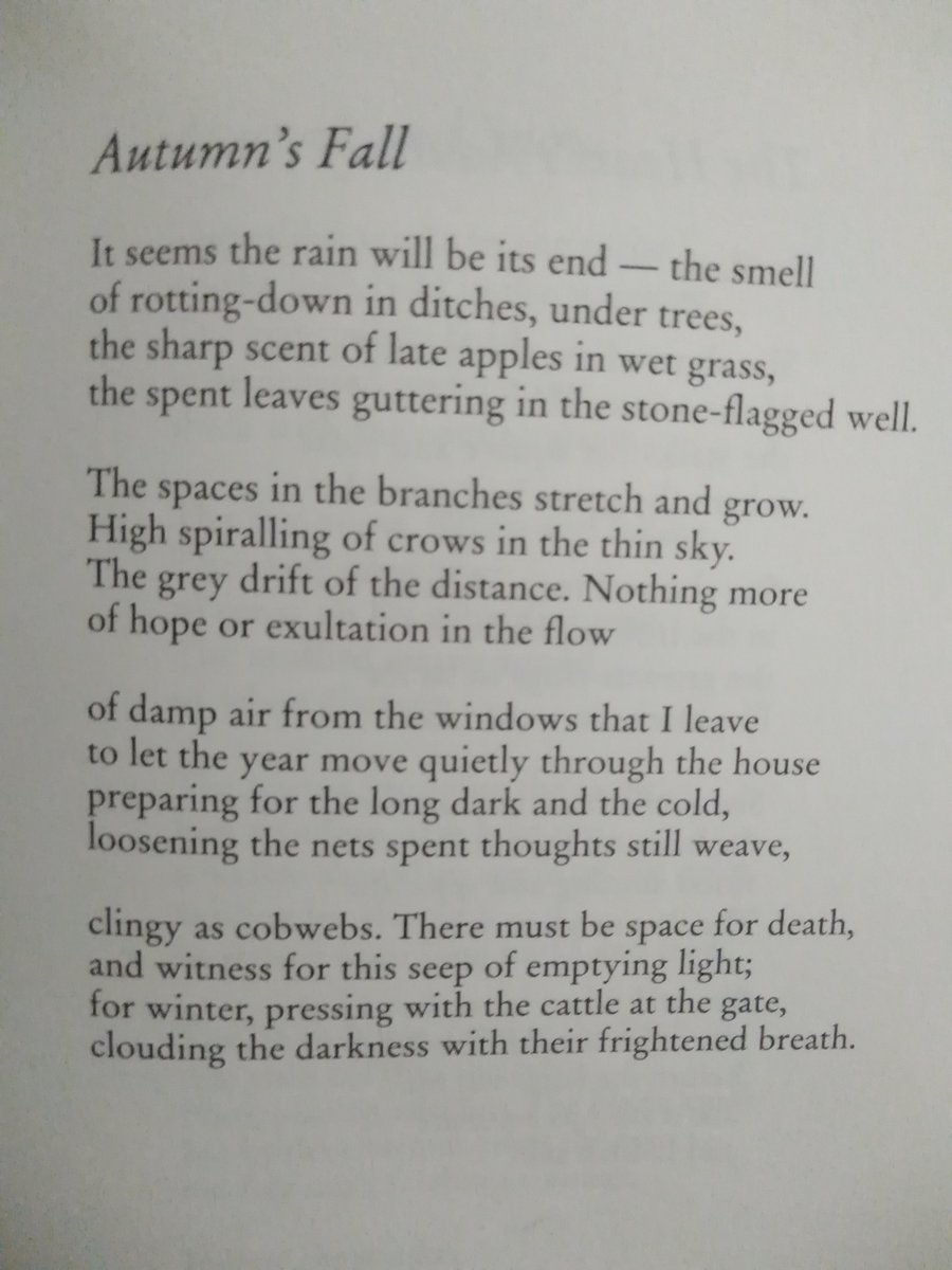 DannydeOliveir8's tweet photo. It's the start of Autumn! 🍁🍂🌧️ And what better way to welcome it than tweeting a poem by Kerry Hardie, from her collection CRY FOR THE HOT BELLY, which encapsulates the season's transitional approach.

#AutumnEquinox22 https://t.co/RW1PAzpaKO