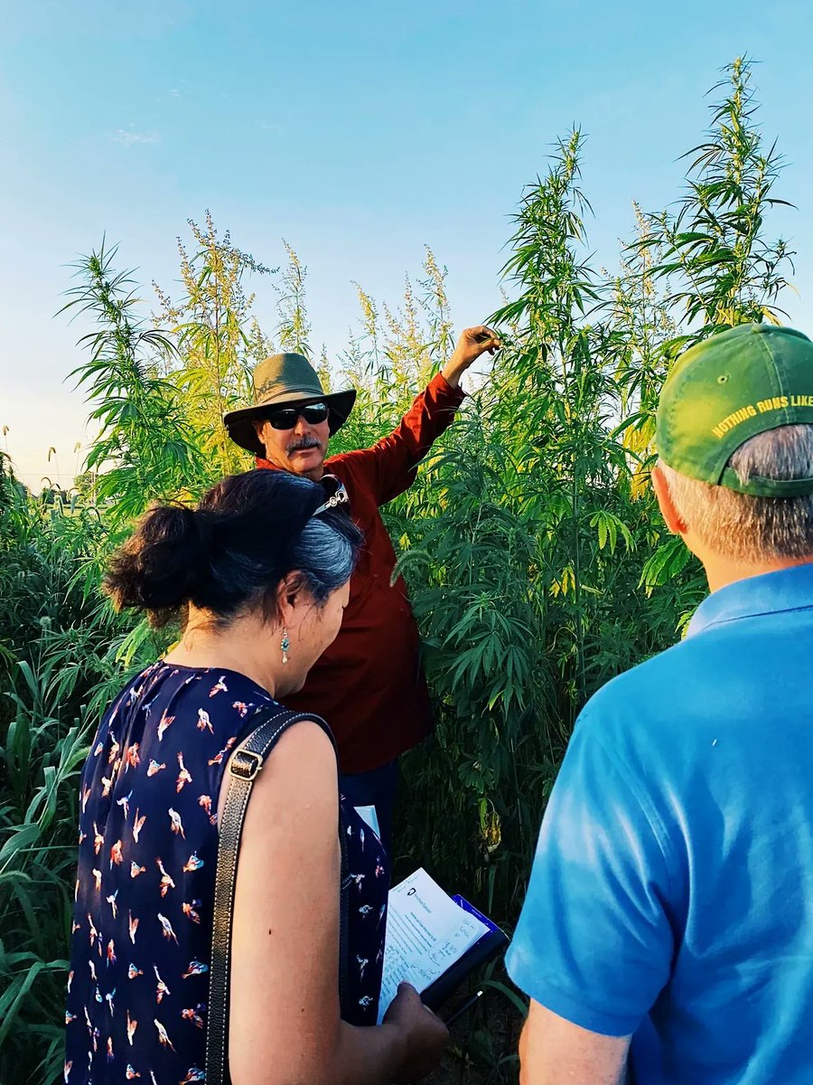 International Hemp tweet media