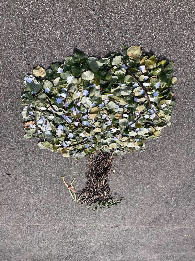 StChads_Croydon's tweet photo. Year 6 identified ways to care for God’s wonderful creation, after reflecting on St Francis of Assisi’s Canticles of the Sun. They then added them to a tree they made from the wonders of nature 🌳🌳🌳 #REWeek https://t.co/Jw1W8BlKsc