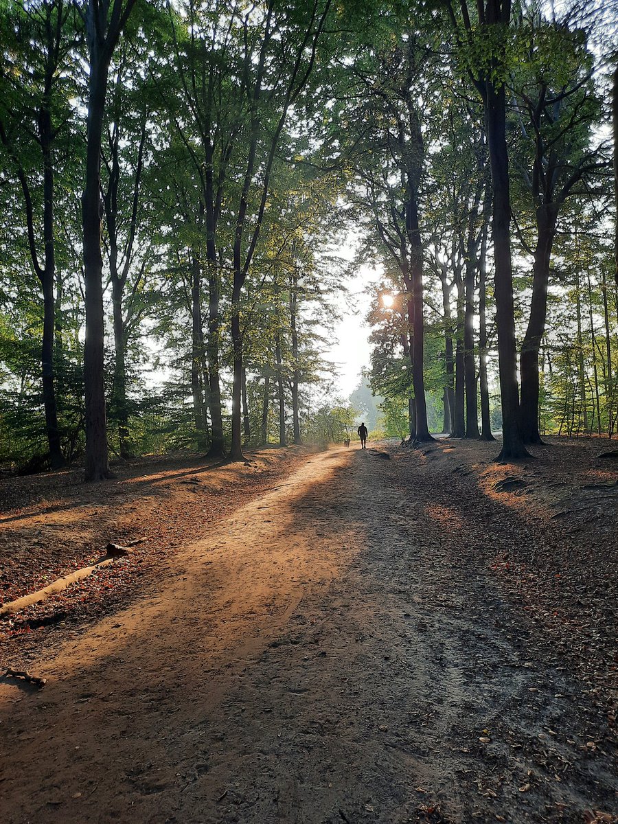 Bij <a href="/wandelnet/">Wandelnet</a> zoeken we een nieuw bestuurslid! 
Help jij mee vinden door te delen of te reageren?
Voor iemand die affiniteit heeft met wandelen en opereert in een voor onze stichting relevant en actief (bestuurlijk) netwerk.
#vacature #vrijwilliger
wandelnet.nl/vrijwilligersf…