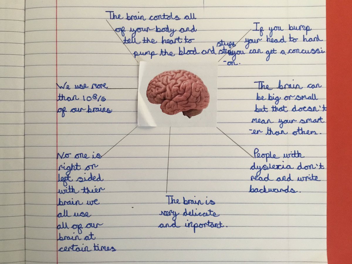 TJPrimary's tweet photo. 5R have been learning about the brain, sharing their knowledge and facts to create a mind map! #TJyear5 #TJscience #TJIPC https://t.co/V1mRtuNV8H