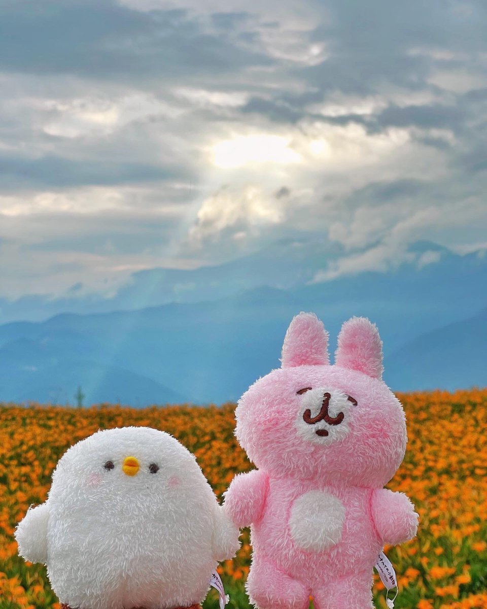 gaoqian23's tweet photo. #カナヘイ #カナヘイの小動物 #kanahei #卡娜赫拉 #ピスケ #うさぎ #p助 #兔兔 #toyphotography #療癒 #ゆるっと写真同好会 #ぬい撮り #linesticker #line貼圖 #lineスタンプ #taiwantravel #travelphotography #旅行 #花蓮景點 #六十石山 #金針花 #耶穌光 #jesuslight #雲隙光 #佛祖光 https://t.co/ftfWzLBQVL
