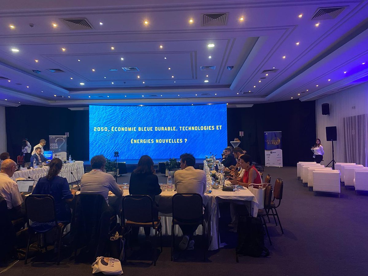 FMBizerte's tweet image. Reprise des réunions du Forum avec le 𝐏𝐚𝐧𝐞𝐥 𝟒: « 2050, économie bleue durable, technologies et énergies nouvelles ? »