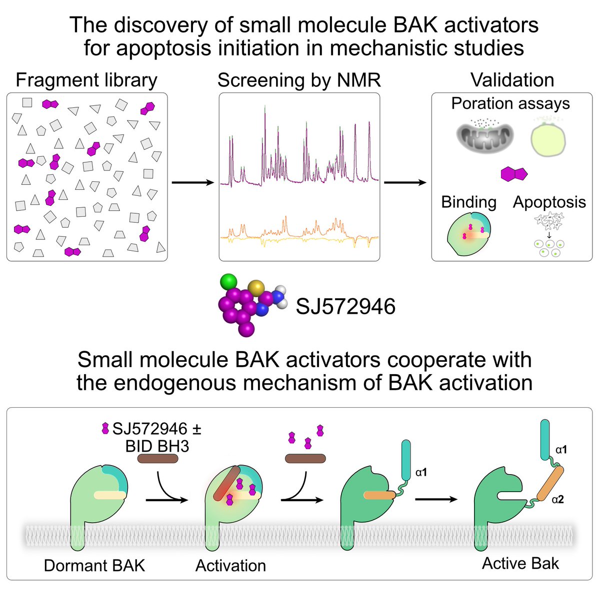 MoldoveanuLab tweet media