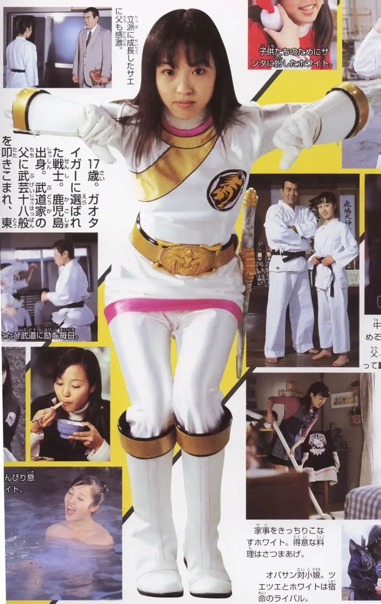 百獣戦隊ガオレンジャー ガオホワイト B2ポスター 大河冴 竹内実生