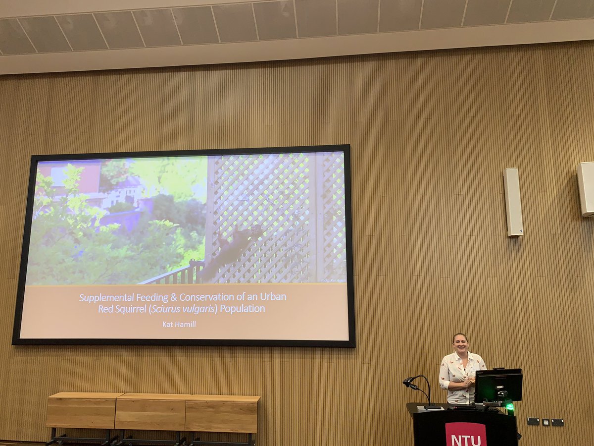 NTU_ARES's tweet photo. Our final PhD speaker of the day is Kat Hamill, who is presenting her study into ‘Supplemental feeding and #conservation of an urban #redsquirrel population’
Red squirrels are considered #endangered in the UK due to the #Eurasiangreysquirrel.
#ARESResearchConference https://t.co/N2eZ8svdTk