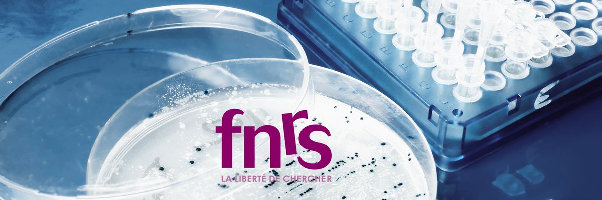 Final program is available | FNRS contact group meeting on MOLECULAR BACTERIOLOGY in Namur on Oct 14. 2 keynotes @SGribaldo (Paris) & @GrangeasseTeam (Lyon) and 10 short talks. Unique opportunity to meet and interact with other molecular bacteriologists!👉narilis.be/events/fnrs-co…