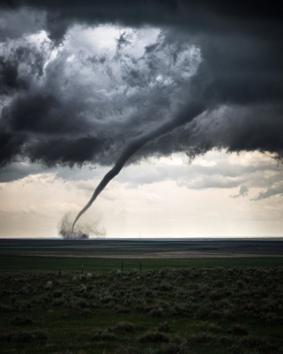 Things that make you stop the car immediately. 🌪