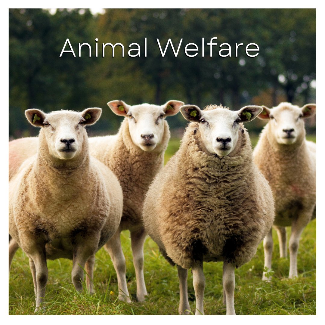 U.S. Sustainability Alliance tweet media