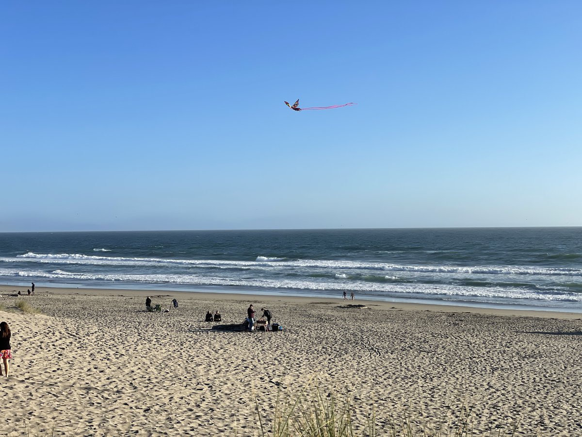 ThatsMyPark's tweet photo. Take advantage of a windy day and fly a kite at Palm Beach State Park! #FindNewAdventure πͺ Parking is $10 and supports the park.
@CAStateParks @CAStateParksSC https://t.co/qyYQEKnfo8