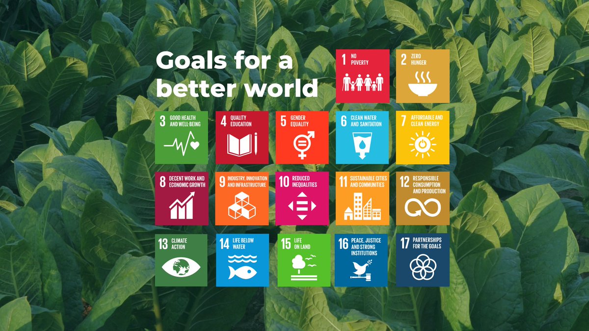 Farm from a Box tweet media