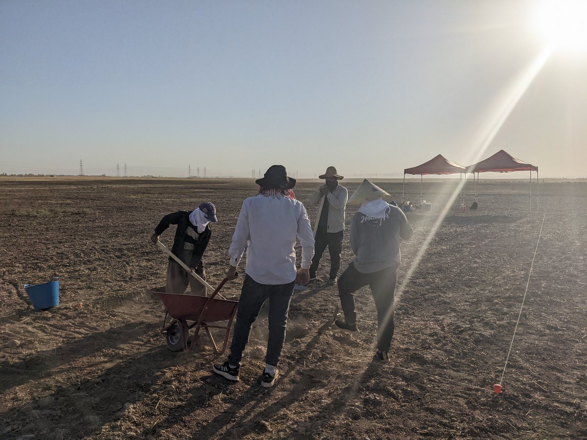 petramcreamer's tweet photo. It's been a busy month! @EmoryUniversity's new excavations at the rural Iron Age site of #QachRresh (Iraqi Kurdistan) began this September, and our tiny team has been working hard the whole time. ๐ช https://t.co/0yRaX4y58P