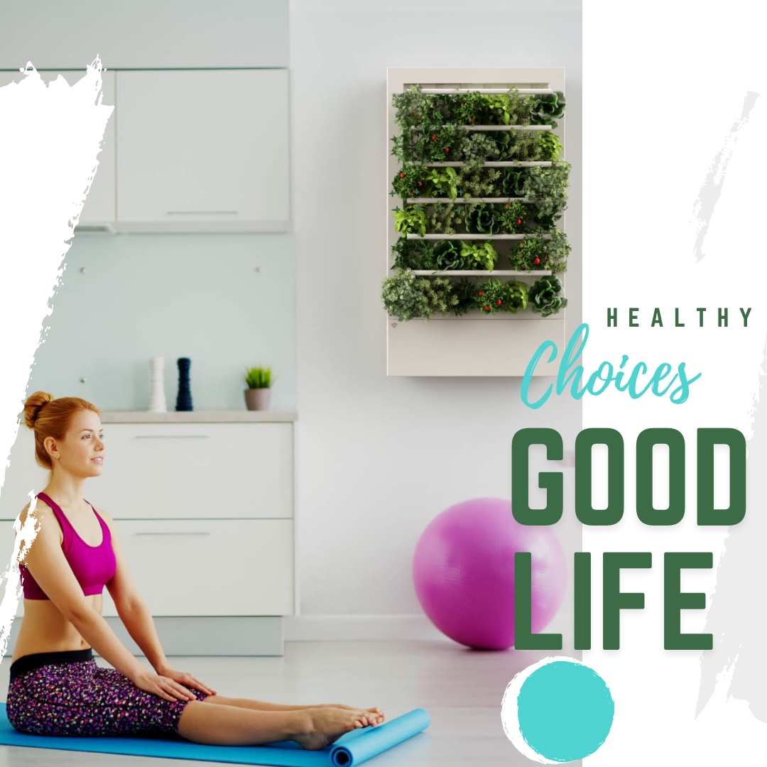HydroArtPod's tweet photo. With a huge market and consumers around the world seeking ways to live healthier and more sustainably, this product is set to explode in the market. There won't be a better time to invest in the food of the future!

https://t.co/zJOyMxj7Is https://t.co/PgSoPiejbF