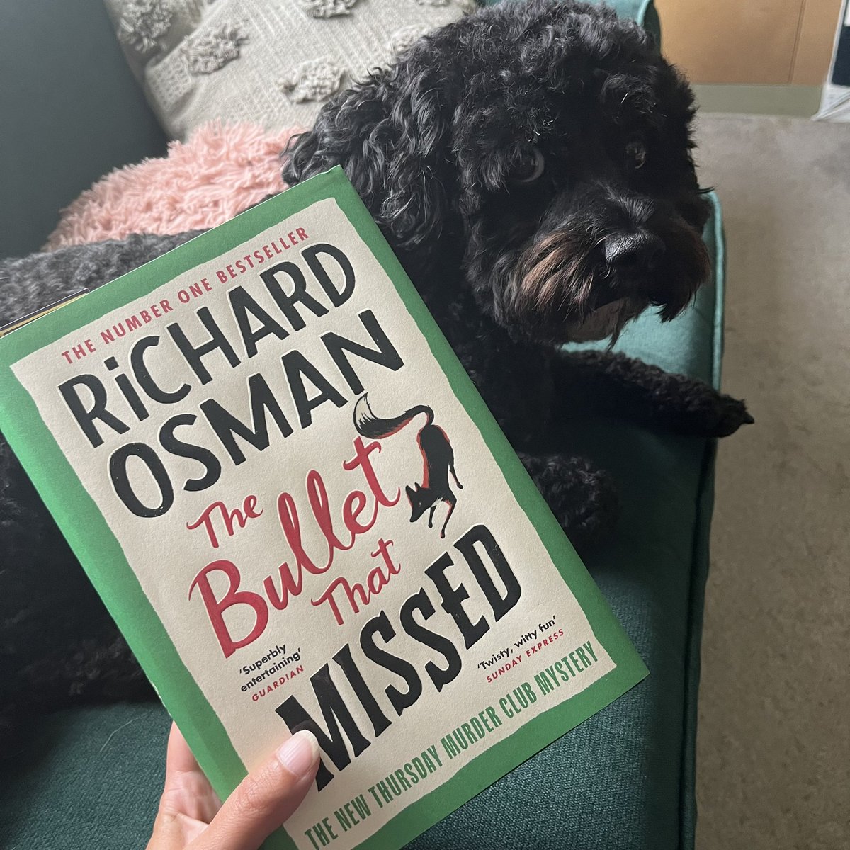 What are you reading this weekend?

I’ll be reading #TheBulletThatMissed and cuddling up on the sofa with Jeff the Cavapoo ❤️