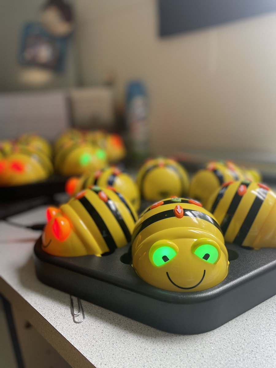 MrsW111's tweet photo. The kindergartners’ excitement level will “bee” through the roof when they meet these little cuties! #codingwithkinders #HCSDLearns https://t.co/Cs0c5HQZGY