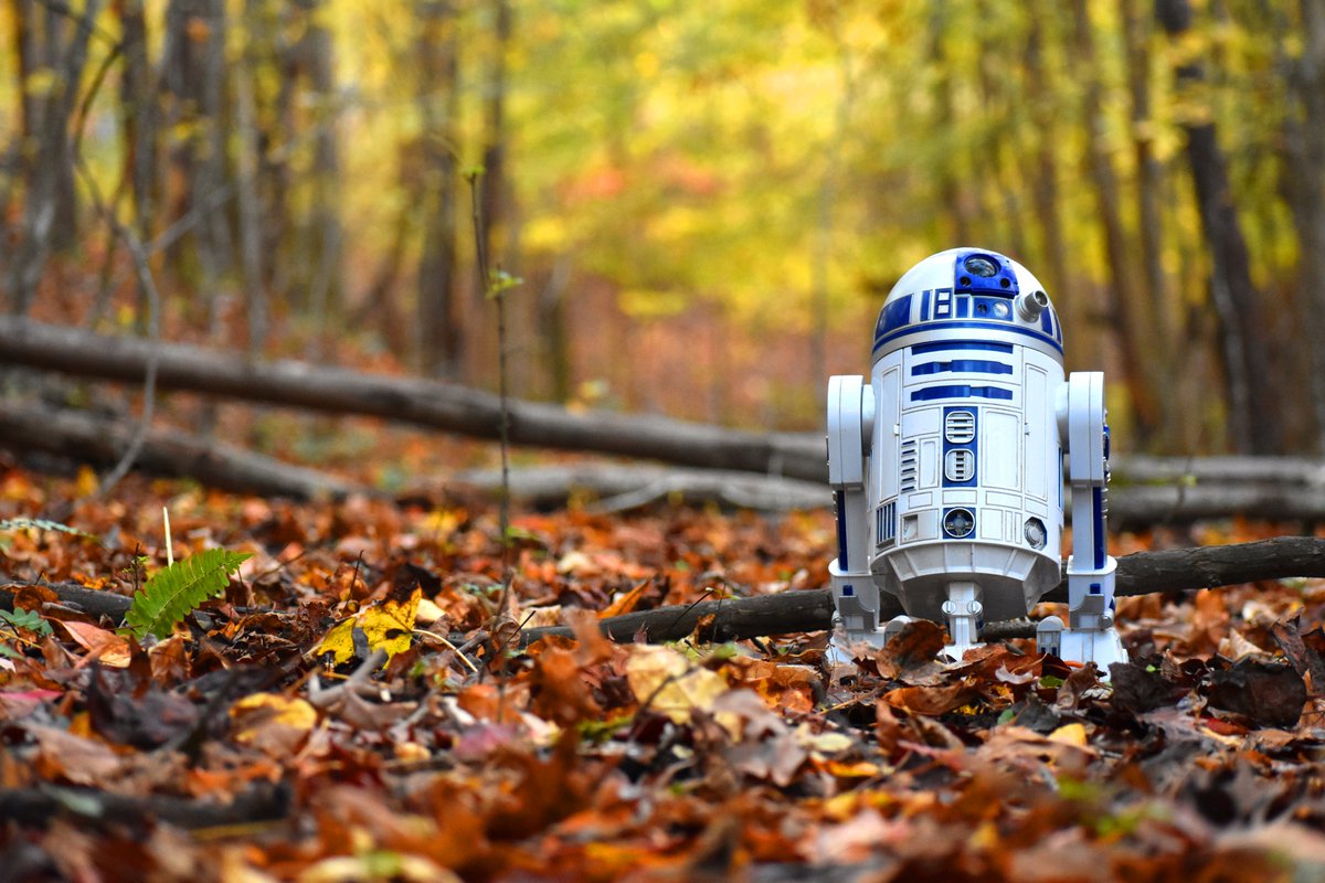 SoulFuricStudio's tweet photo. @Lightroom FALL-2D2 #r2d2 #starwars #fanphotography https://t.co/zOJDUIOkDr