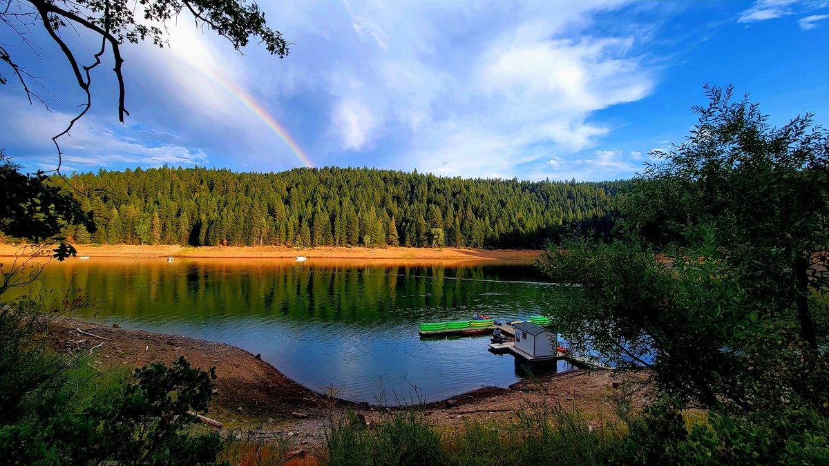 Nick Carlson tweet media