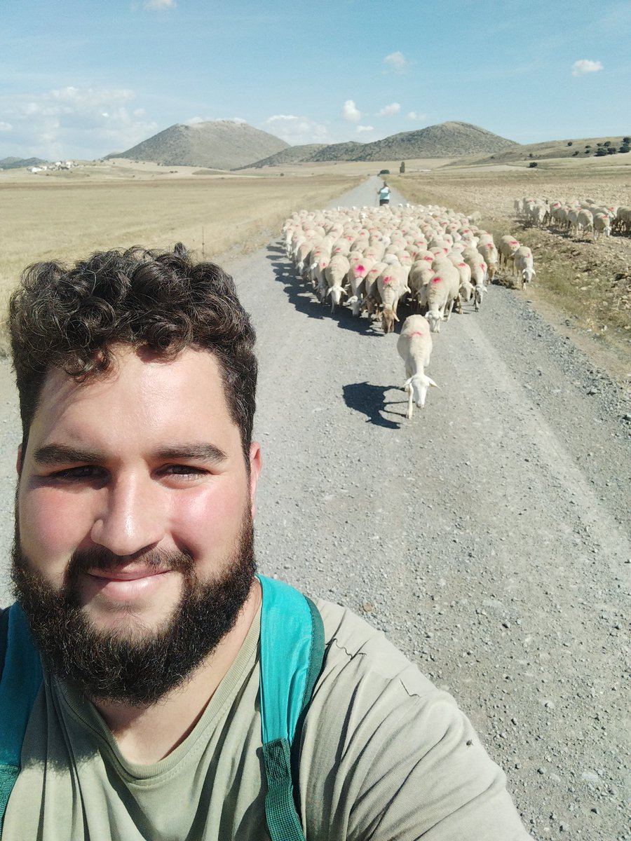 entusgenes's tweet photo. Día de Vereda #Topares - #LaVidriera.
#Transumancia #GanaderíaExtensiva #OvejaSegureña
@corderosegureno @TurismoCaravaca @Regmurcialimpia @regmurcia_com @TurismoPuebla1 @turismormurcia @RedNNoroesteMur @EspNaturalesMur @GanaderiayAgro @Postalesdecampo @aquilatierratve https://t.co/BfIMtJfBiA