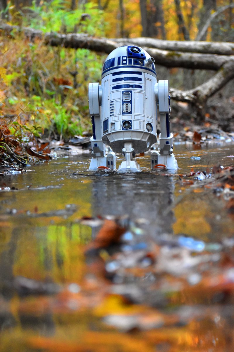 SoulFuricStudio's tweet photo. @Lightroom FALL-2D2 #r2d2 #starwars #fanphotography https://t.co/zOJDUIOkDr