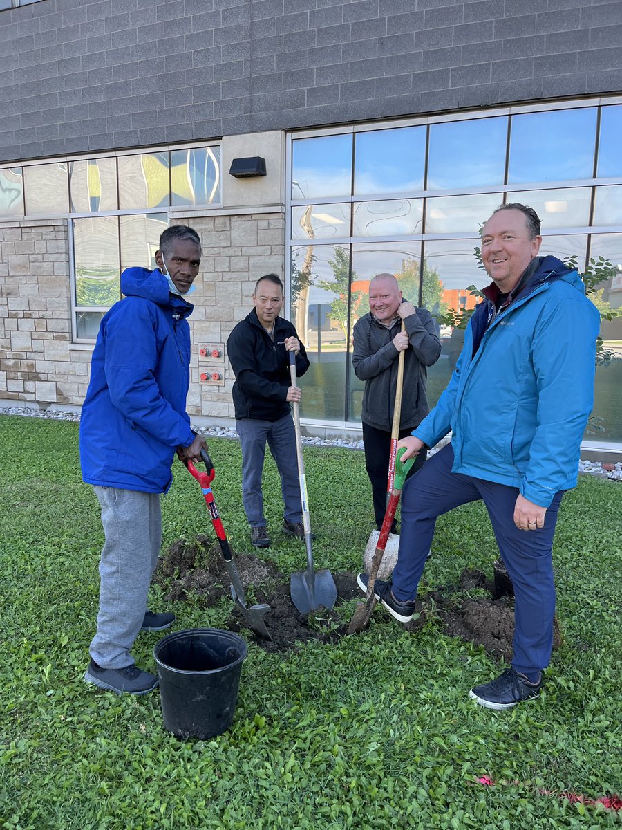 Trees4Hamilton's tweet photo. Trees improve mental, physical, emotional health. Today, great tree orgs greened hospital grounds to better the health of Hamiltonians. Thanks @HamHealthSci @MarkCullen4 @CdnTreesforLife @PEACH_HealthON for all that you do for our community. 👏 #NationalForestWeek #treesforhealth https://t.co/NtDYIAuFLV