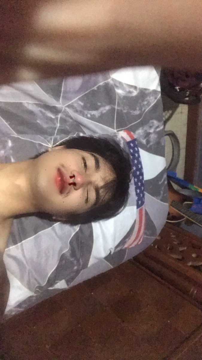 แมวขนสีรุ้ง tweet media