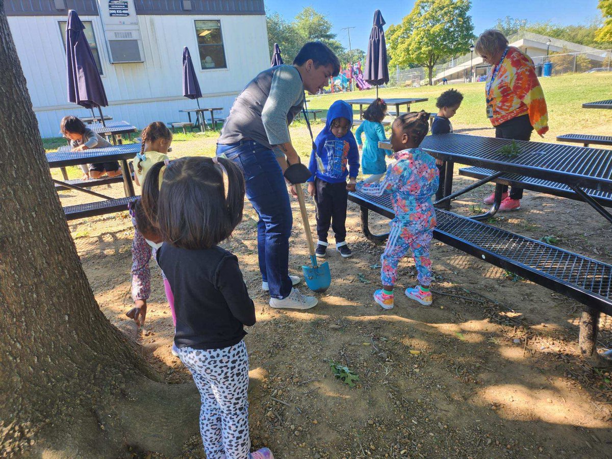 Today <a href="/kwbmontessori/">A. Settles</a> went outside to see if we could find the acorns we hid for hibernation. So many acorns! #kwbpride