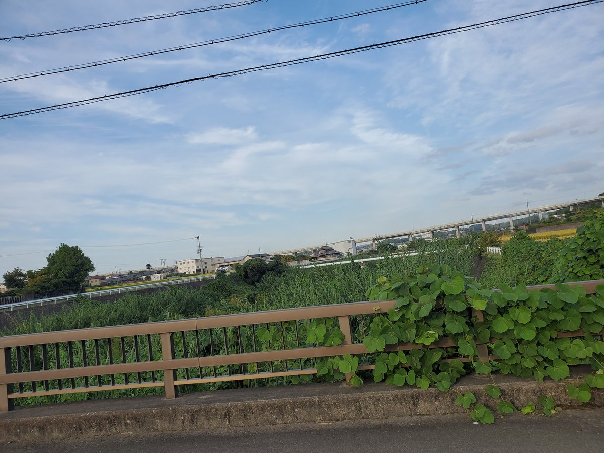 MaMin0501's tweet photo. 泉佐野市上之郷、チラシのポスティング😀４日歩き回った～🎵で、ちゃーんと
連絡ありました😀いい景色たくさんみれた😀

#泉佐野市#上之郷#チラシ印刷#チラシポスティング#チラシ作成#高石#高石市#印刷#活版印刷#ポスター#印刷物#ポスティング#チラシ#工務店#構造見学会 https://t.co/fw2KzPh4sB