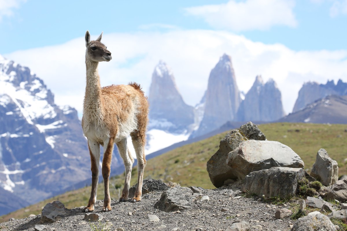 Frozen Planet II continues. ❄️

Let Sir David Attenborough guide you through mountainous frozen habitats &amp; icy islands of the sky in a stunning new episode of the landmark series from BBC Studios Natural History Unit.

#FrozenPlanet2 | 8pm 25 Sept | <a href="/BBCOne/">BBC One</a> | #MadeByBBCStudios