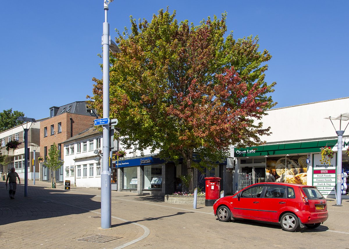Join me at the seaside in bracing #Newhaven tomorrow. I'll be leading a tree walk and delivering an illustrated talk too as part of the #NewhavenFestival 
🌳Tickets to the trees 👉 newhavenfestival.co.uk/whats-on