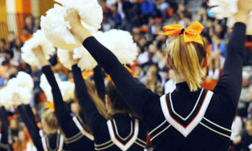 WDMCS's tweet photo. Has your PK-6 student ever dreamed of cheering on their Tigers on the sideline? Join the Valley Tiger Cheerleaders for the elementary cheer clinic on Oct. 1! Register by Sept. 30 for the opportunity to learn cheer basics and perform at a JV football game. 
https://t.co/hRDCOI6a5o https://t.co/LwH1KgZ88t