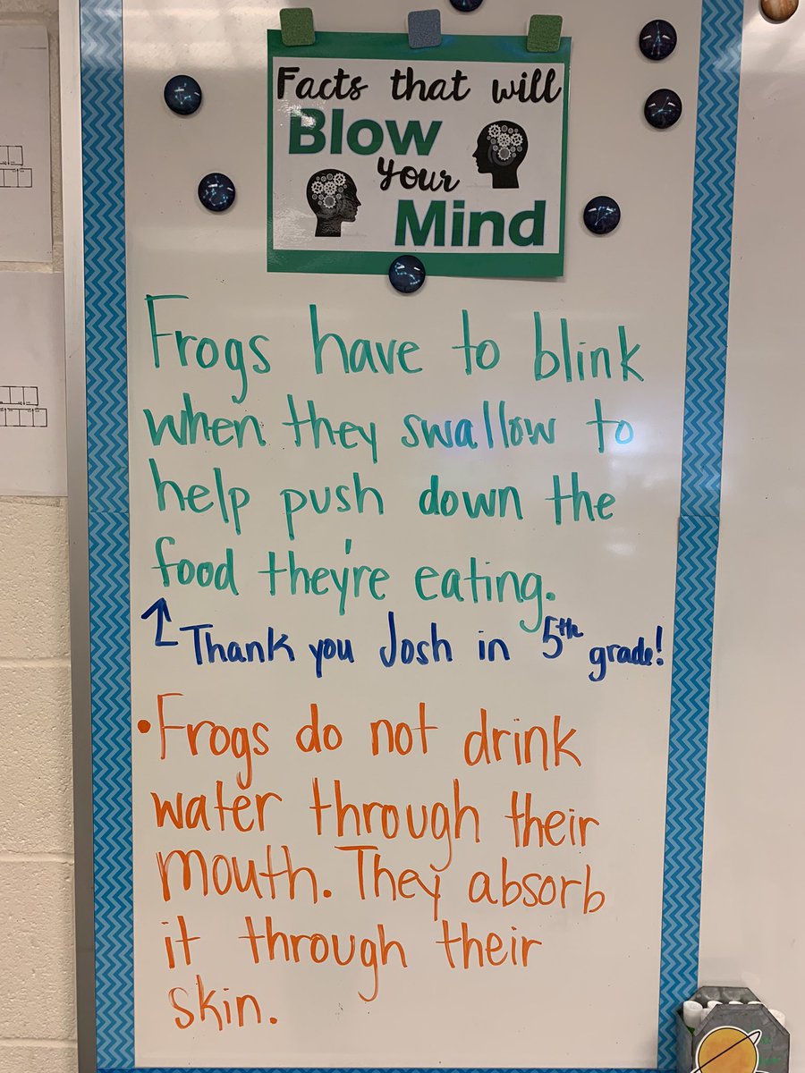 Farmer STEM Lab tweet media