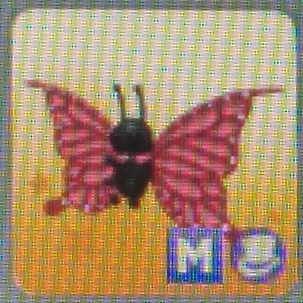 wcneyyy's tweet photo. Wts lfb adopt me pets ! 

➰ Normal Mega Butterfly
➰ mop : gcash only
➰ ngf!!! legitimacy on my profile
➰ 100php or your highest offer

💌 dm/reply if interested ! 

t. adopt me pets selling #adoptme https://t.co/ed2nawdtAk