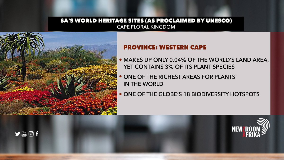Newzroom Afrika tweet media