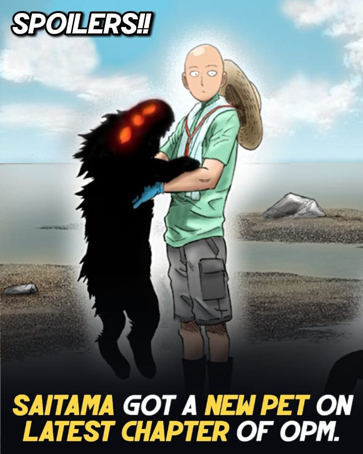 AllyssaBoMa's tweet photo. No action but still good.. 😅 

Overgrown Rover and Black Sperm Both Disaster Level is Dragon was saitama new companion

#onepunchman #saitama #dragonpet https://t.co/1RT8aGrDpA