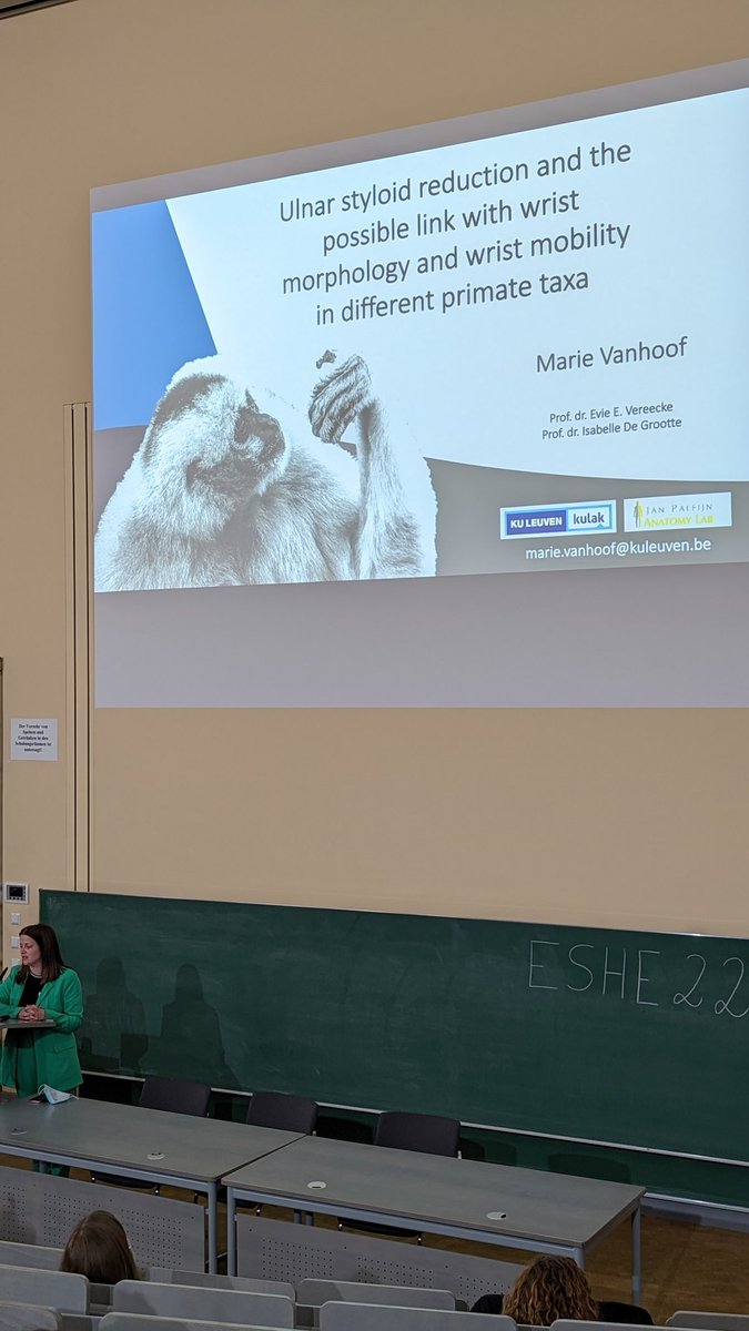 Julia van Beesel tweet media