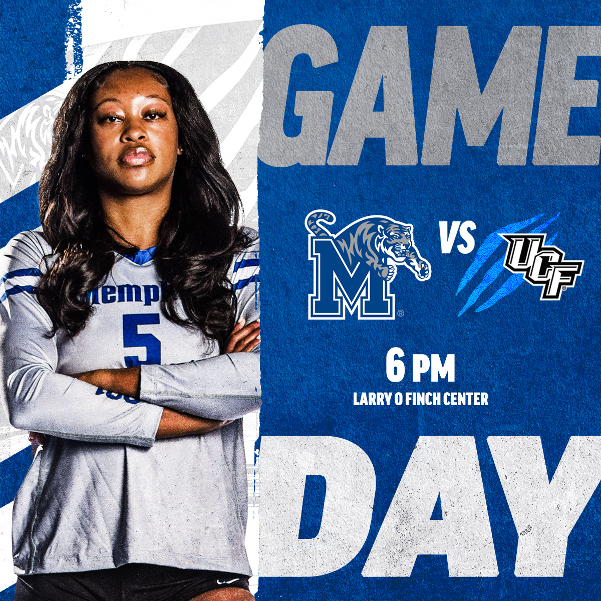 Memphis Volleyball tweet media