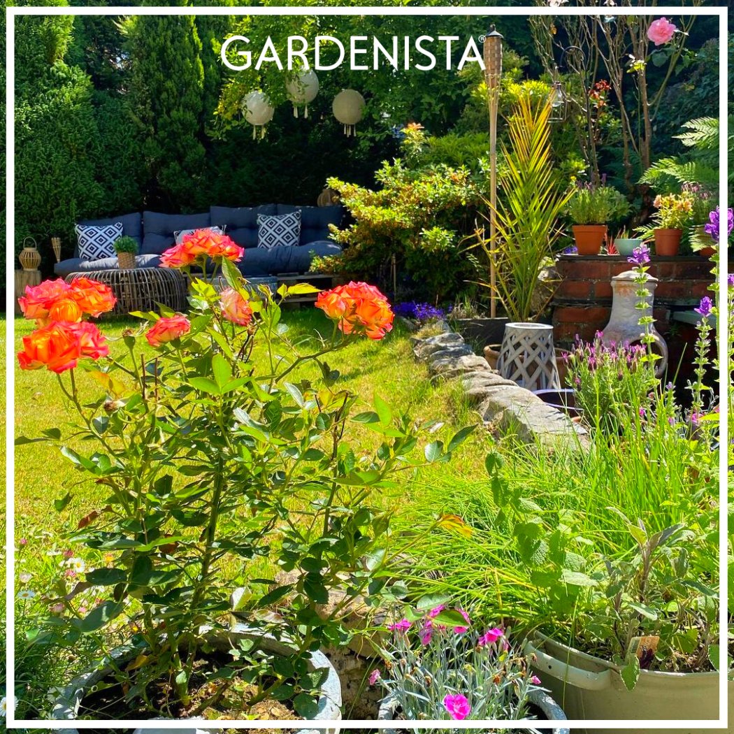 The garden of dreams! 👏

What an amazing outdoor spot to experience the best comfort! 😀